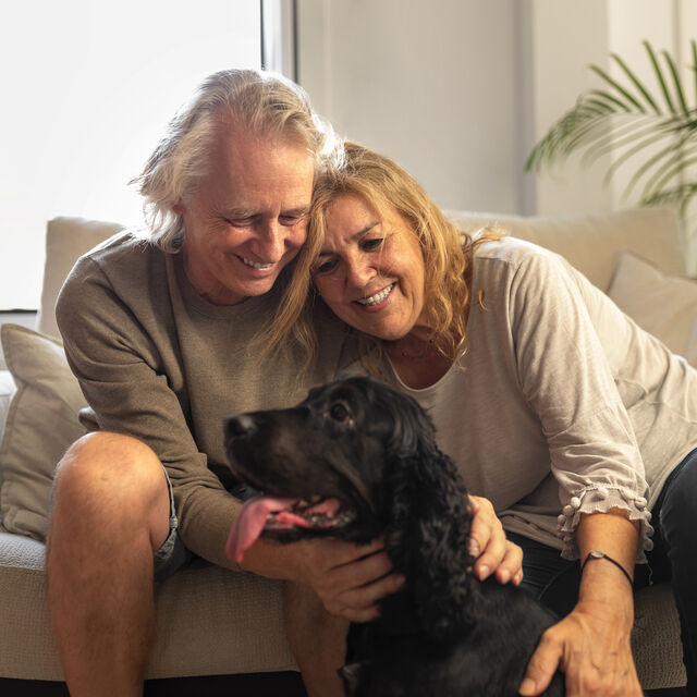 Front view old couple petting dog